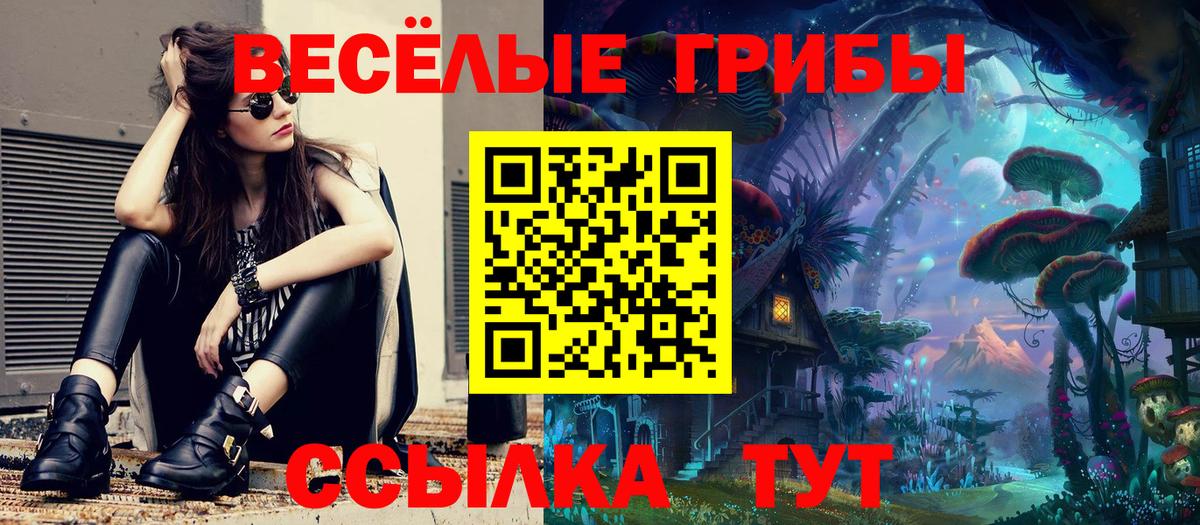 Галлюциногенные грибы Psilocybine cubensis Клинцы